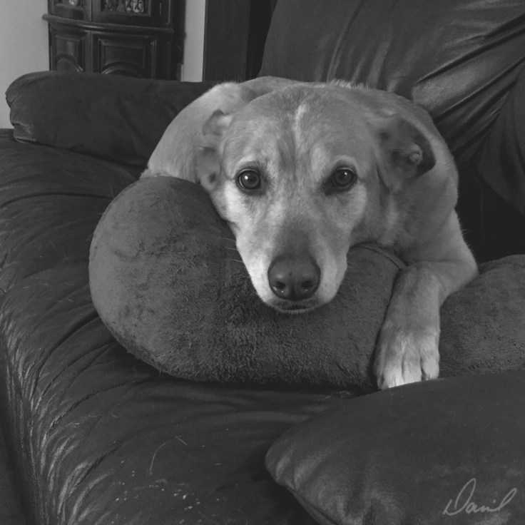  iPhone 6 •&nbsp;1/15 sec at ƒ/2.2 • ISO 250 • 4.15mm 